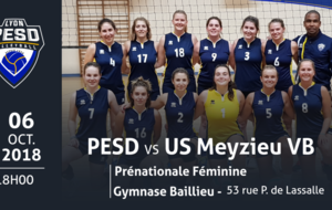 PESD vs US Meyzieu VB (Prénationale Féminine)